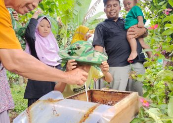 Keliling Metro : Nikmati Madu Langsung Dari Sarangnya