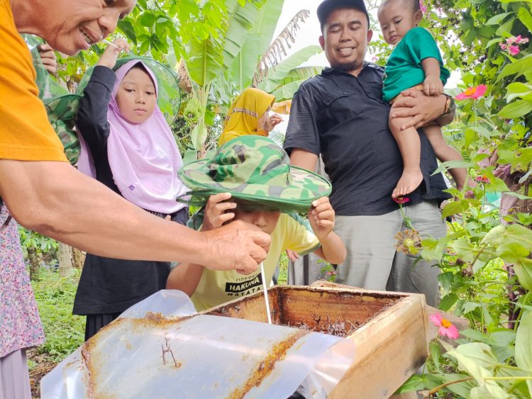 Keliling Metro : Nikmati Madu Langsung Dari Sarangnya