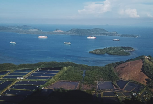 The Best Tourism Village Pada Lampung Tourism Fest 2023 Menjadi Milik Desa Wisata Minang Rua